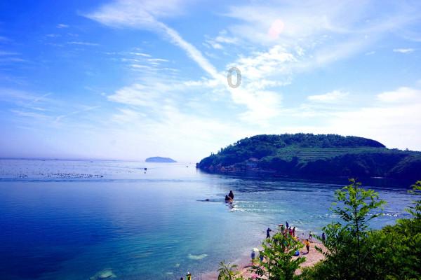 味道苦涩,营养丰富,你知道这是什么蔬菜吗?